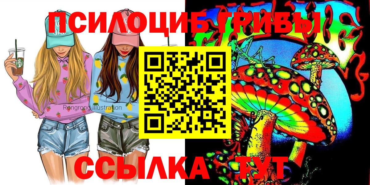 Галлюциногенные грибы Psilocybine cubensis  Вход с VPN  Кинель 